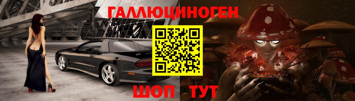 Псилоцибиновые грибы прущие грибы Александров