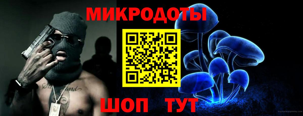 Галлюциногенные грибы Cubensis  Псилоцибиновые грибы мицелий  Вход с VPN  Александров 